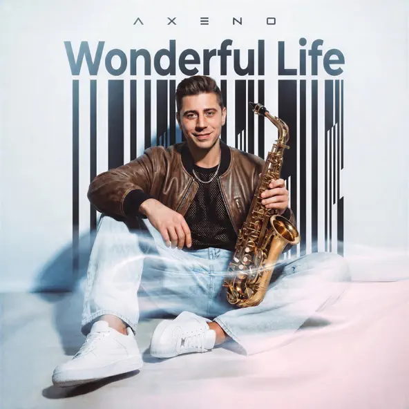 Wonderful Life (by Black)