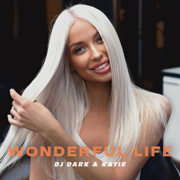 Wonderful Life (by Black)