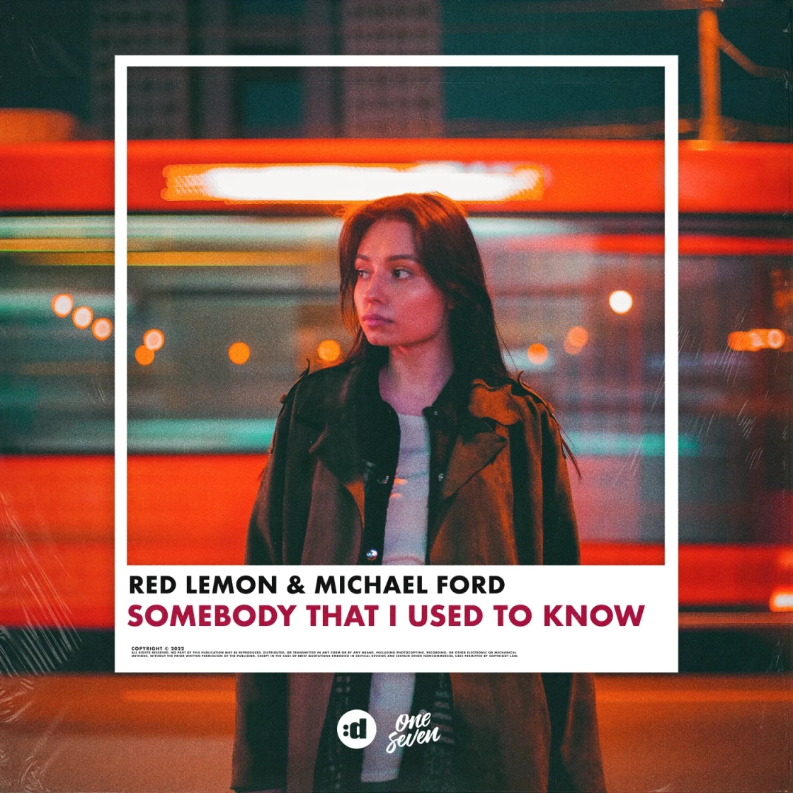 Somebody That I Used to Know (by Gotye)