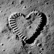 Peachy Pete - To The Moon & Back (by Savage Garden)