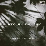 Teddy Beats, Jolee Nikoal - Stolen Dance (by Milky Chance)