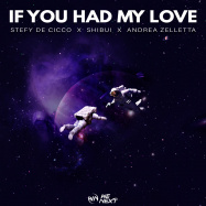 Stefy De Cicco,  Shibui - If You Had My Love (by Jennifer Lopez)