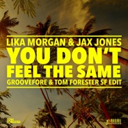 Lika Morgan - You Don't Feel The Same (by Jax Jones)