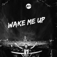 Raeve - Wake Me Up (by Avicii)
